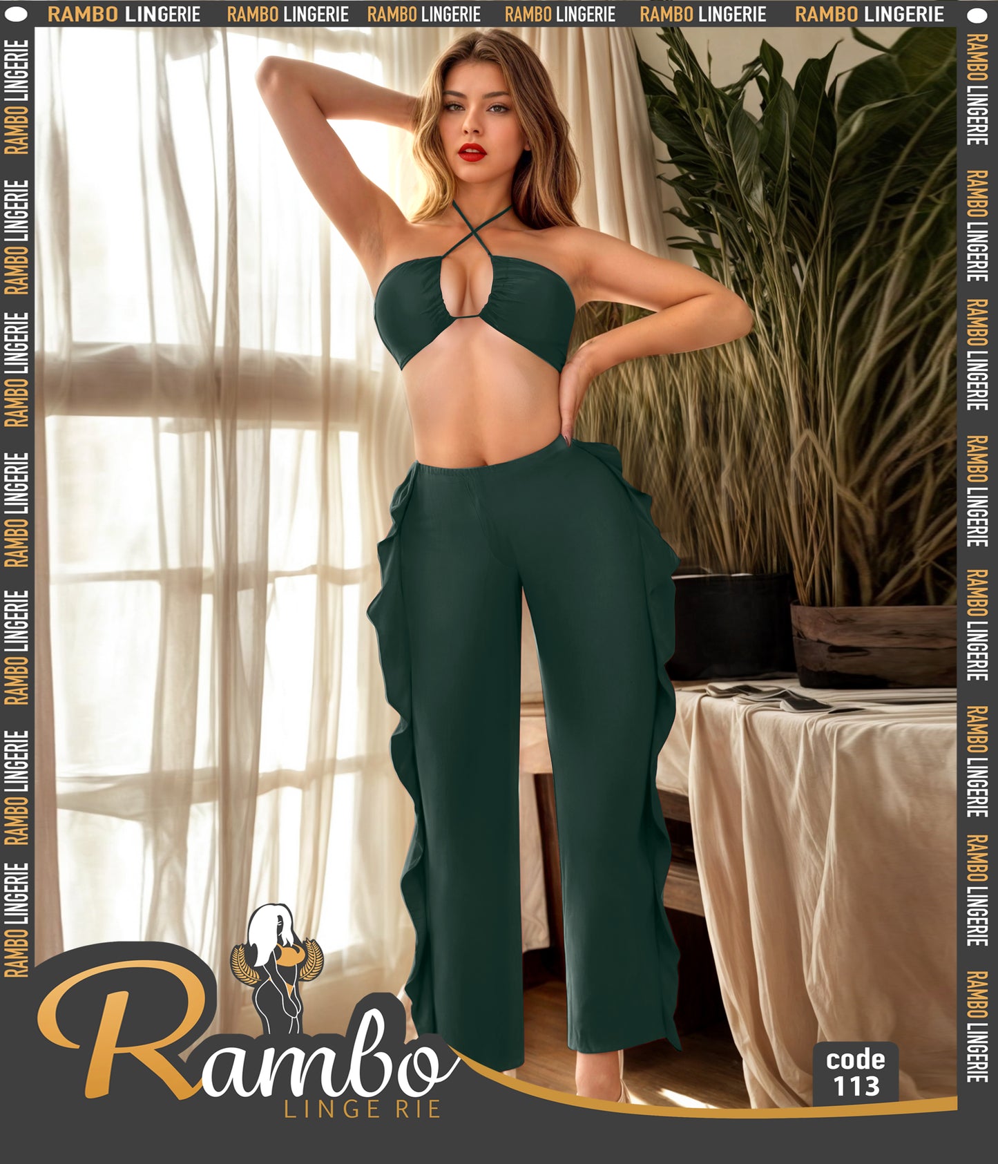 Lingerie 113