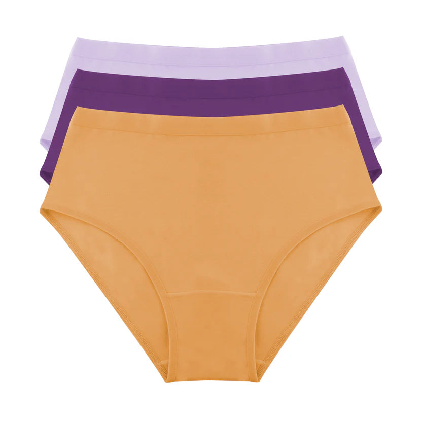 Plain Brief - Pack of 3
